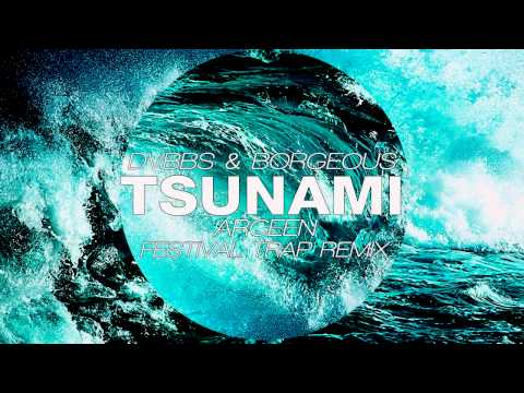 Tsunami DVBBS and Borgeous song - Wikipedia