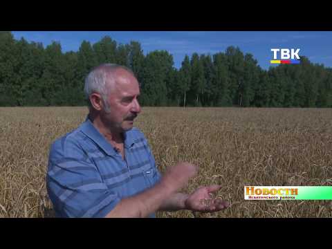 Премия на полевом стане. В Искитимском районе награждают лучших механизаторов Премия на полевом стане. В Искитимском районе награждают лучших механизаторов