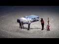 The Funny Horse Scout HD (German) / Das Lustige Pferd Scout HD (Deutsch)