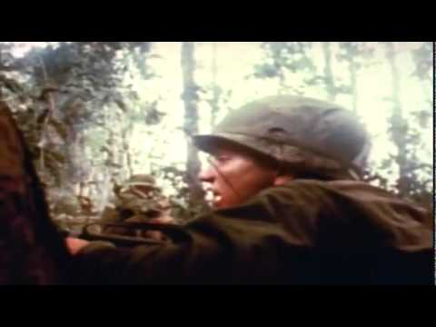 Dear america letters home from vietnam essay