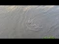 рыбалка в северной осетии видео рыбалка в северной осетии видео