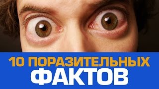 10 реальных фактов в которые вы НЕ ПОВЕРИТЕ