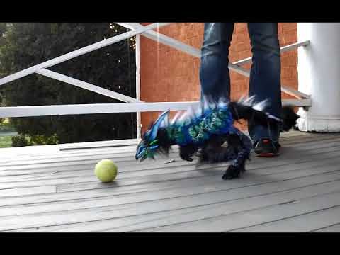 Hand Made Fantasy Baby Dragon Puppet! Auction Adoption- - YouTube