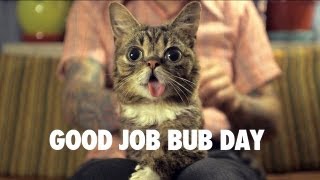 GOOD JOB BUB Day - September 3rd