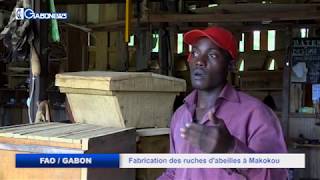 FAO / GABON : FABRICATION DES RUCHES D’ABEILLES À MAKOKOU