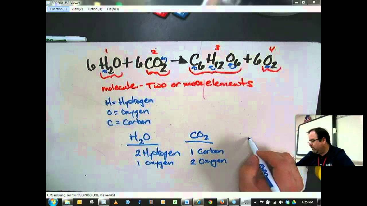 two stages of photosynthesis two stages of photosynthesis