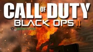 Black Ops 2 - Assault Shield Fun with The Crew!