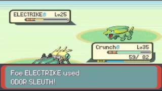 Pokemon Emerald Randomizer Nuzlocke ~ Part 39: The episode of evolvingness