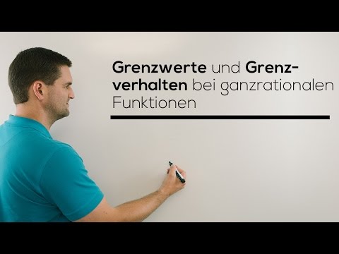 Download Grenzwert, Grenzverhalten bei ganzrationalen Funktionen, Limes | Mathe by Daniel Jung