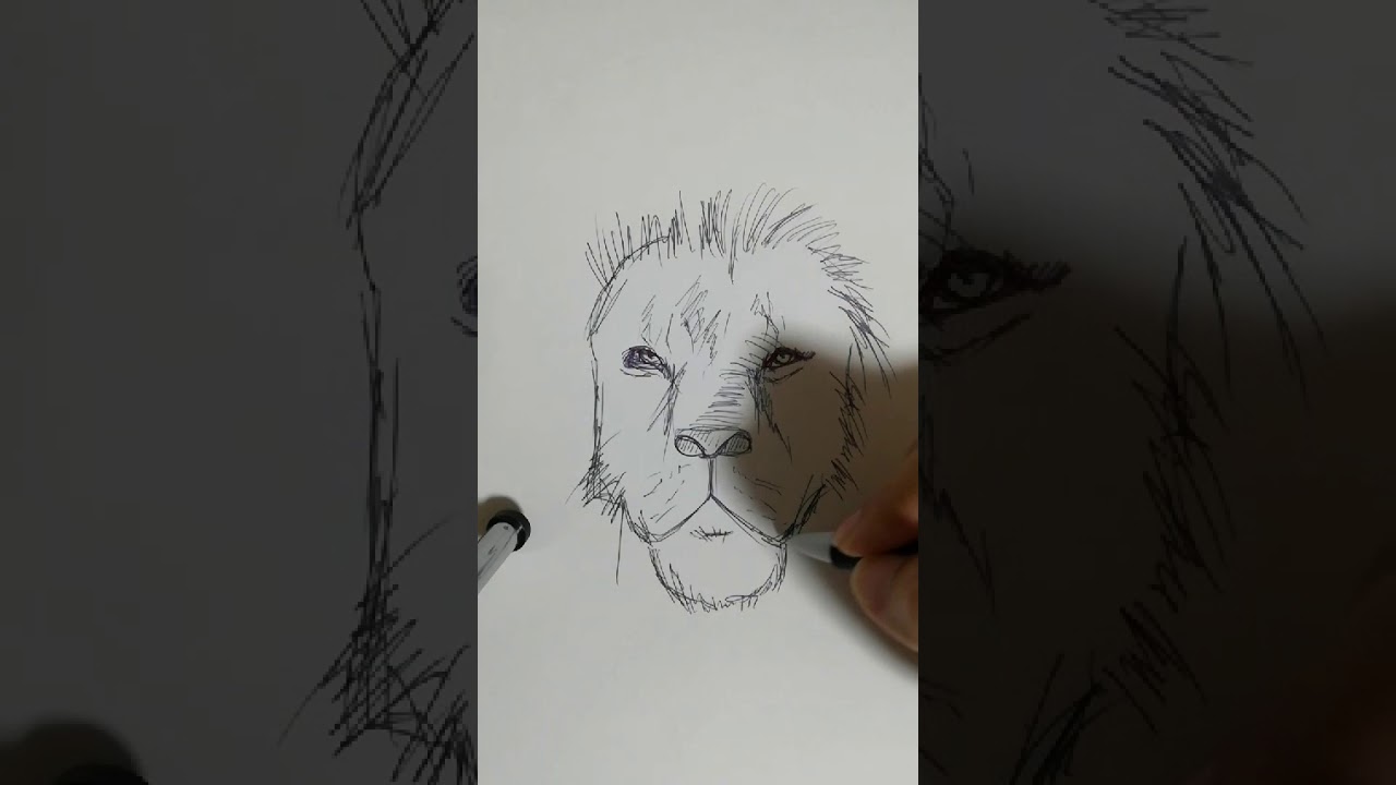 ライオンの顔の絵の作り方