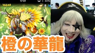 【パズドラ】橙の華龍 地獄級にゴー☆ジャス端末で挑戦！ハク初陣！