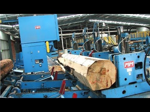 Download EXTREME Automatic Wood Sawmill Machine Modern Technology - Fastest Wood Cutting Machines