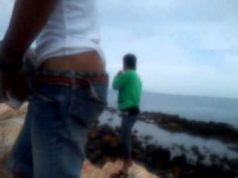 Ngentot Binatang | Genuardis Portal