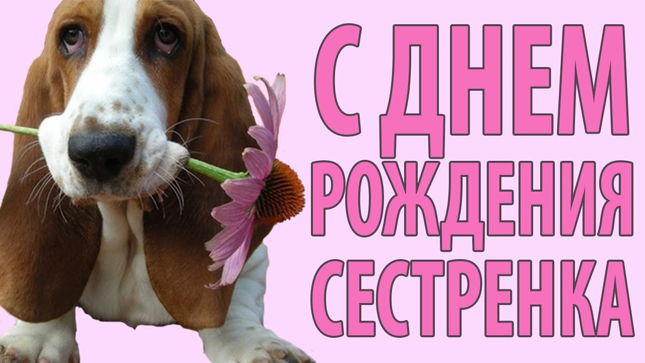 Сделай своими руками горшок для цветов Сделай своими руками горшок для цветов