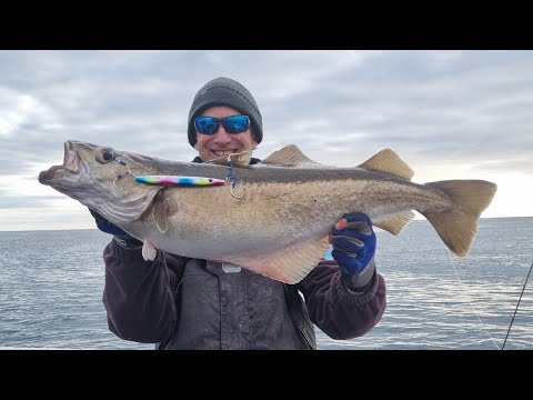 Skipper Matt Forrester: fishing  SPJ, catching big pollock and some  tips on slow pitch jigging in the UK and using JOKER Jigs