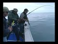 Yakutat Charter Halibut Fishing on the Sea Wolf with Captain Scott Chadwick in Yakutat, AK