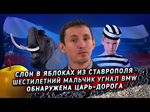 Девочка из Краснодара выгуливает собак за деньги Девочка из Краснодара выгуливает собак за деньги