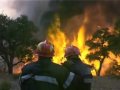 Feu de Foret