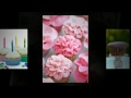 Cupcake Decorating Ideas