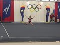 Brittney McNiff - Parkettes Invitational 1/27/12 - Level 9 - 1st Place Floor
