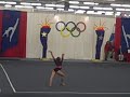 Brittney McNiff - Parkettes Invitational 1/27/12 - Level 9 - 1st Place Floor