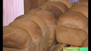 Столовая ЗАО «Степное»: накормить полеводов по-домашнему