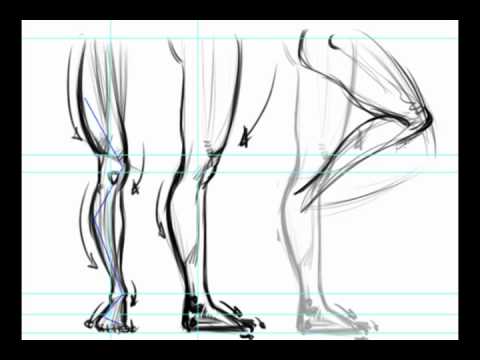 Drawing- How to draw Full Leg Forces-preview - YouTube