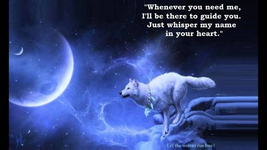INFJ - The Lone Wolves - Animal Spirit Video [THEBARRACUDA57] - YouTube