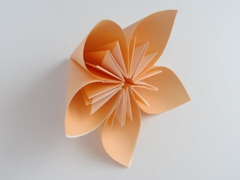 origami  Kusudama kusudama gerbera Flower Origami