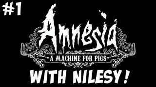 Amnesia: A Machine for Pigs with Nilesy: A Protessional Video