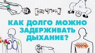 Как долго можно задерживать дыхание?