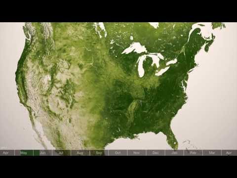 Green: Vegetation on Our Planet (Tour of Earth)