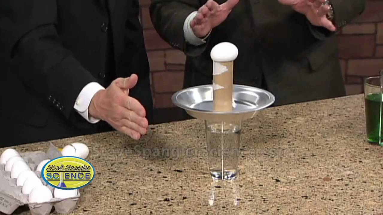 Egg Drop Inertia Challenge - Cool Science Trick - YouTube