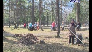 Жители Искитима вышли на общегородской субботник