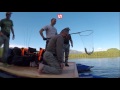 видео о подводной охоте