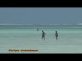 Zanzibar beaches -- on safari with Africa Odyssey in Zanzibar, Tanzania