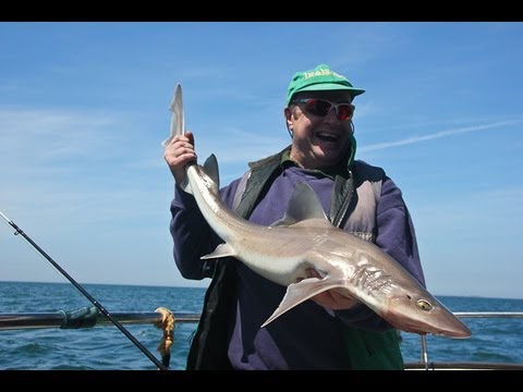 Fishing For Smooth Hounds With Captain Gethyn Owen on My Way