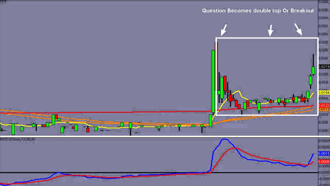 Penny stock trading system