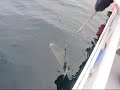 Deep sea Fishing... Kodiak Alaska Fishing Report and Video