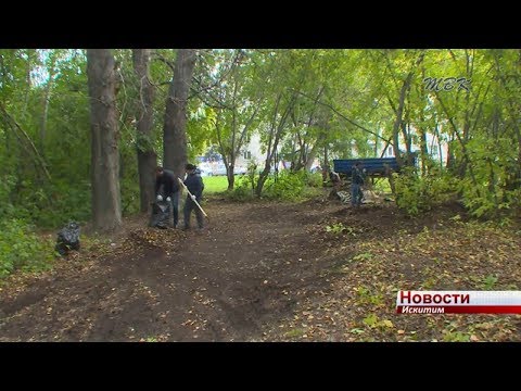В Подгорном начали приводить в порядок лесопарк около 7 дома В Подгорном начали приводить в порядок лесопарк около 7 дома