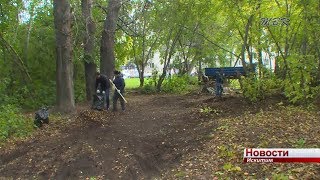 В Подгорном начали приводить в порядок лесопарк около 7 дома