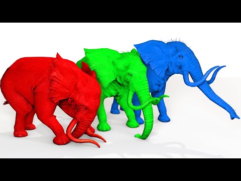Funny Colors & Animals with Excavator Toy, Fire Truck, Tractor, Police Car Toys for Kids