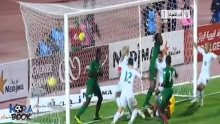 Алжир - Буркина-Фасо 1:0 видео