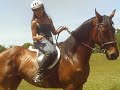 Thoroughbred galloping (Ex race horse)