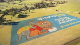 #rootingforoz | The World's Biggest Painted Sign | Lions Tour 2013