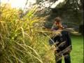 video Roberto Tagliani