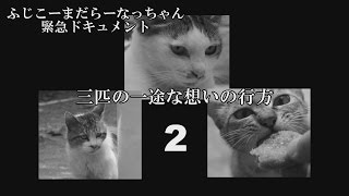 緊急ドキュメント2 『静かなる修羅場』