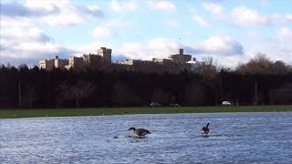 Windsor in Flood - 9th of January 2014