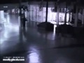 Winged Creature Filmed in Indonesia - Alien, Angel Or Hoax?