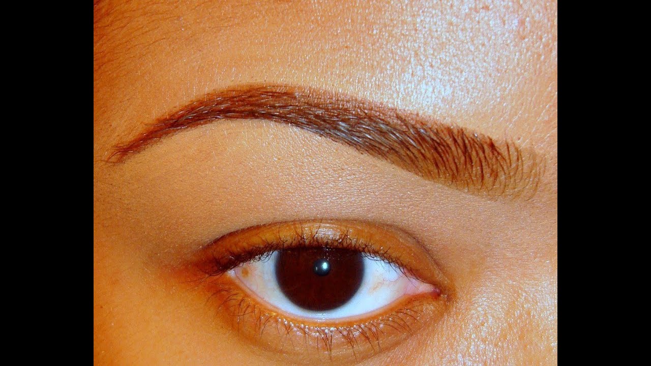pictures of arched eyebrows